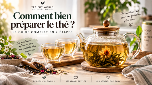 Comment bien préparer le thé ? Le guide complet en 7 étapes