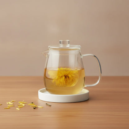 Théière Théière Design en Verre avec Filtre Intégré - Élégance et Saveurs