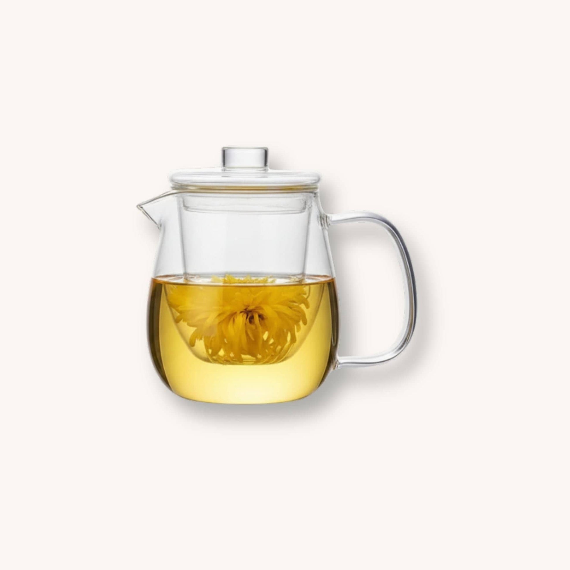Théière Théière Design en Verre avec Filtre Intégré - Élégance et Saveurs