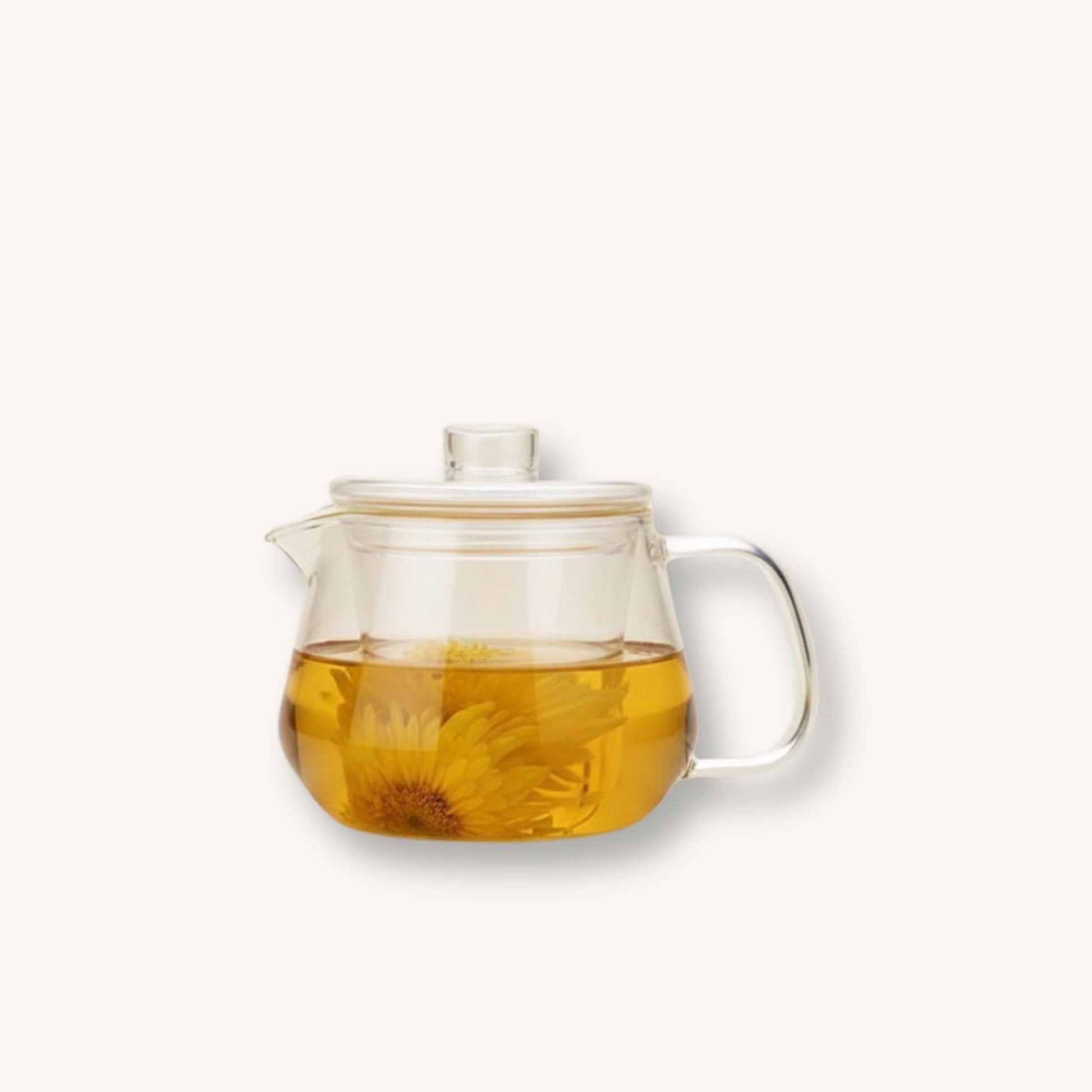 Théière en verre avec infuseur Transparente