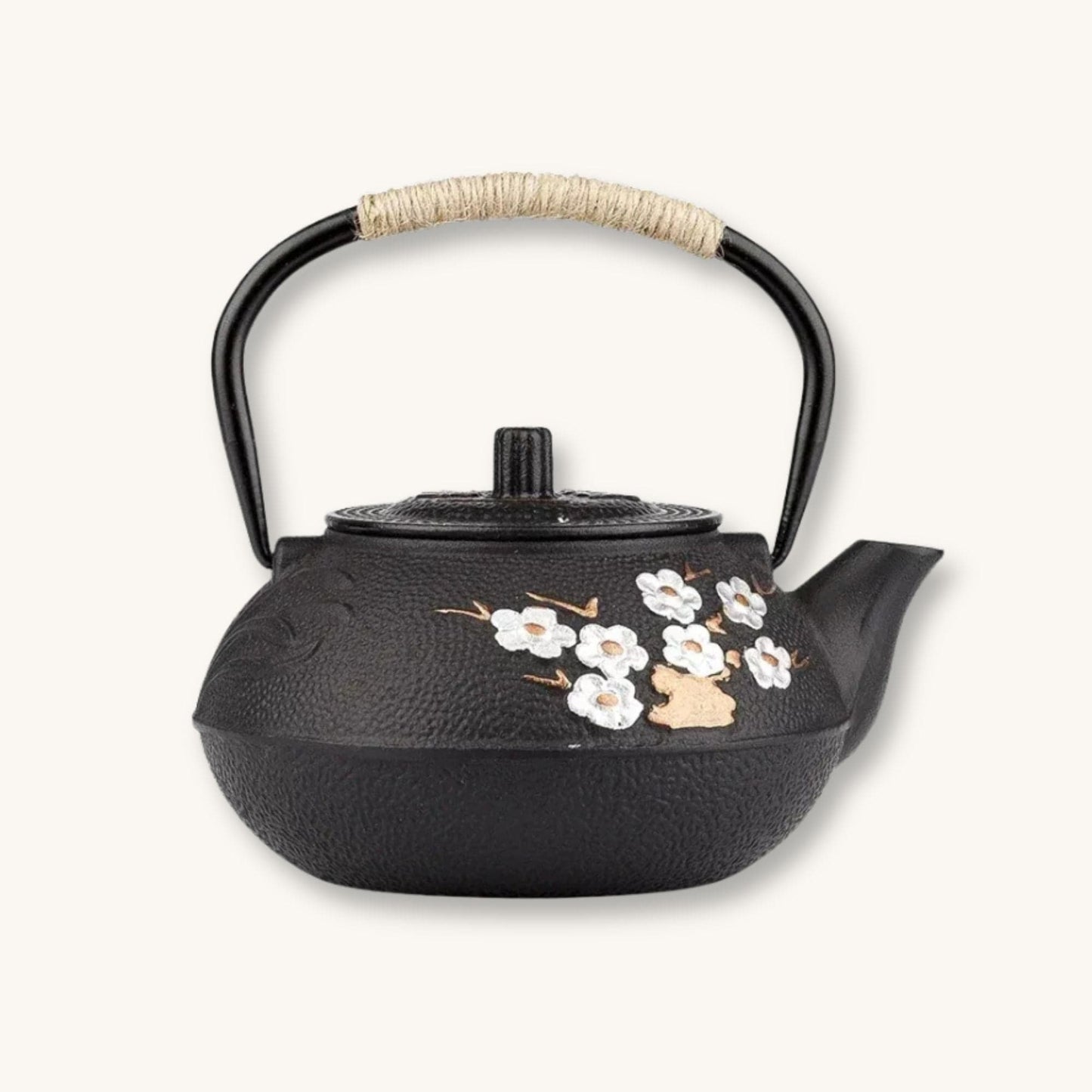 Théière japonaise en fonte – Style zen | Prune & Bambou