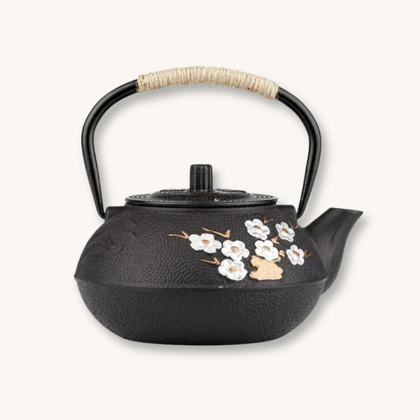 Théière japonaise en fonte – Style zen | Prune & Bambou